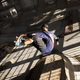 Image for article titled Nostalgia Trip: ‘Tony Hawk's Pro Skater’ Developers Confirm Remake's Only Change Will Be Every Character Knowing The Iraq War Happened